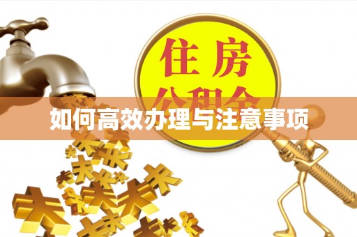 东宁如何高效办理与注意事项