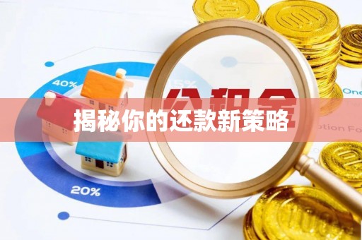 东宁揭秘你的还款新策略