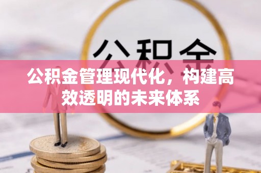 东宁公积金管理现代化，构建高效透明的未来体系